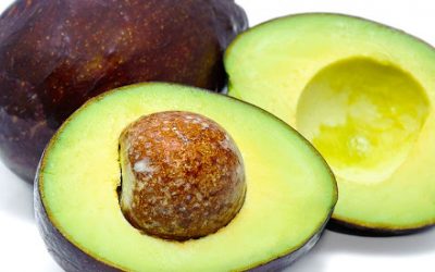 Avokado
